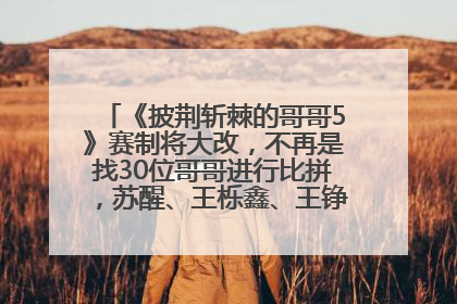 《披荆斩棘的哥哥5》赛制将大改，不再是找30位哥哥进行比拼，苏醒、王栎鑫、王铮亮、张远等多名男团选手被曝将参加