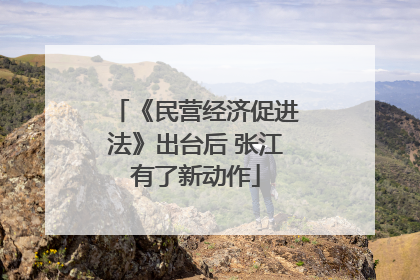 《民营经济促进法》出台后 张江有了新动作