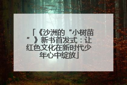 《沙洲的“小树苗”》新书首发式：让红色文化在新时代少年心中绽放