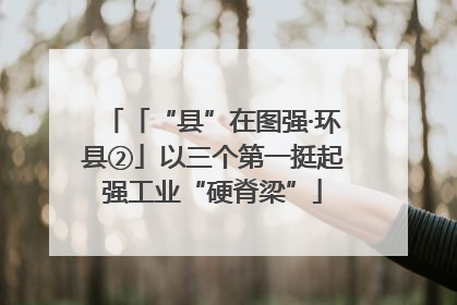 「“县”在图强·环县②」以三个第一挺起强工业“硬脊梁”