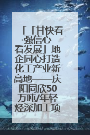 「甘快看·强信心 看发展」地企同心打造化工产业新高地——庆阳同欣50万吨/年轻烃深加工项目建设见闻