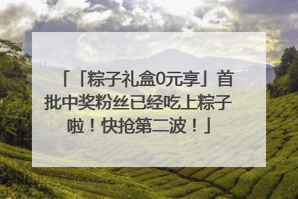 「粽子礼盒0元享」首批中奖粉丝已经吃上粽子啦！快抢第二波！