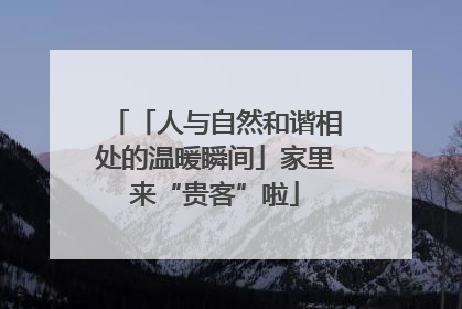 「人与自然和谐相处的温暖瞬间」家里来“贵客”啦