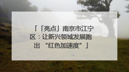 「亮点」南京市江宁区：让新兴领域发展跑出 “红色加速度”
