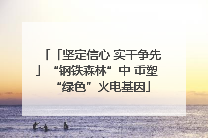 「坚定信心 实干争先」“钢铁森林”中 重塑“绿色”火电基因