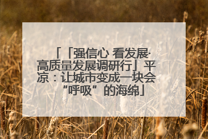 「强信心 看发展·高质量发展调研行」平凉：让城市变成一块会“呼吸”的海绵
