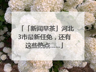 「新闻早茶」河北3市最新任免，还有这些热点……