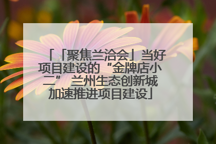 「聚焦兰洽会」当好项目建设的“金牌店小二” 兰州生态创新城加速推进项目建设