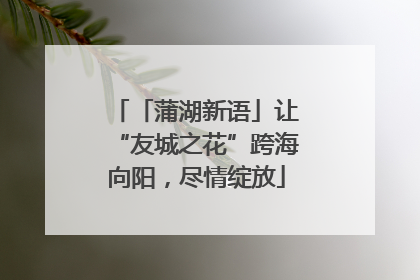「蒲湖新语」让“友城之花”跨海向阳，尽情绽放