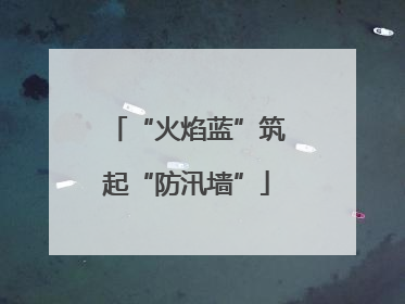“火焰蓝”筑起“防汛墙”