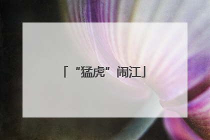 “猛虎”闹江