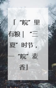 “皖”里有粮｜“三夏”时节，一“皖”麦香