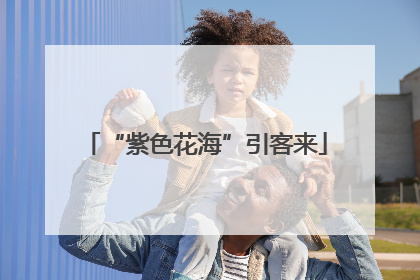 “紫色花海”引客来