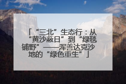 “三北”生态行：从“黄沙蔽日”到“绿毯铺野”——浑善达克沙地的“绿色重生”