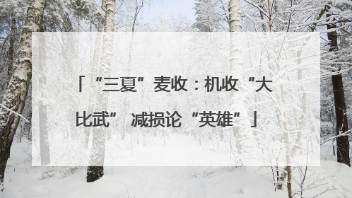 “三夏”麦收：机收“大比武” 减损论“英雄”