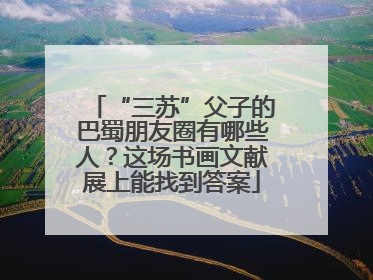 “三苏”父子的巴蜀朋友圈有哪些人？这场书画文献展上能找到答案