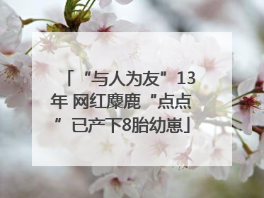 “与人为友”13年 网红麋鹿“点点”已产下8胎幼崽