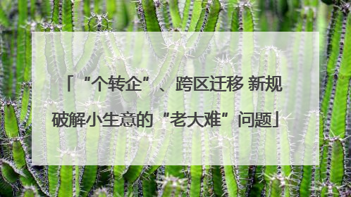 “个转企”、跨区迁移 新规破解小生意的“老大难”问题
