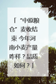 “中原粮仓”麦收结束 今年河南小麦产量咋样？品质如何？