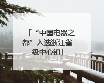 “中国电器之都”入选浙江省级中心镇