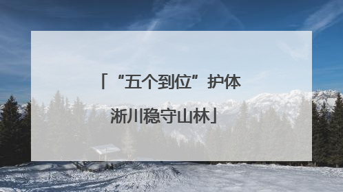 “五个到位”护体 淅川稳守山林