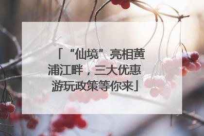 “仙境”亮相黄浦江畔，三大优惠游玩政策等你来
