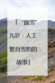 “傲雪”九岁：人工繁育雪豹的故事