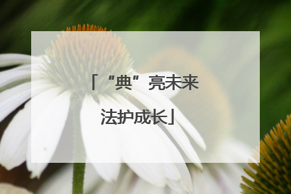 “典”亮未来 法护成长