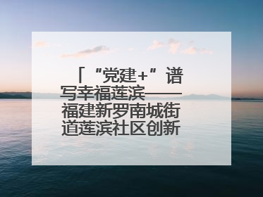 “党建+”谱写幸福莲滨——福建新罗南城街道莲滨社区创新治理模式探访