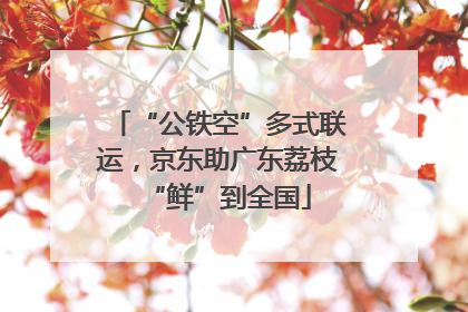 “公铁空”多式联运，京东助广东荔枝“鲜”到全国