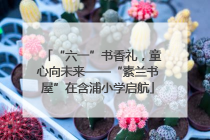 “六一”书香礼，童心向未来——“素兰书屋”在含浦小学启航