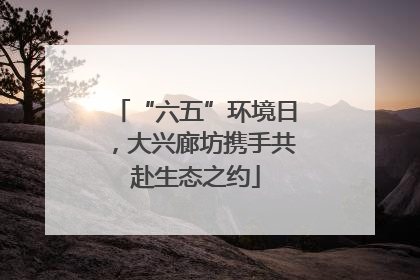 “六五”环境日，大兴廊坊携手共赴生态之约
