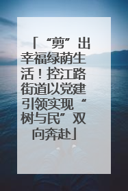 “剪”出幸福绿荫生活！控江路街道以党建引领实现“树与民”双向奔赴