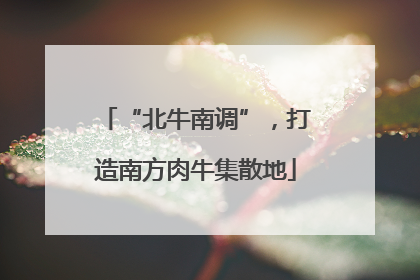 “北牛南调”，打造南方肉牛集散地