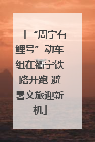 “周宁有鲤号”动车组在衢宁铁路开跑 避暑文旅迎新机