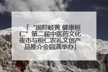 “国粹岐黄 健康桓仁”第二届中医药文化夜市与桓仁农礼文创产品推介会圆满举办
