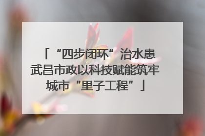 “四步闭环”治水患 武昌市政以科技赋能筑牢城市“里子工程”