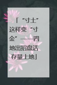 “寸土”这样变“寸金”——四地出招盘活存量土地