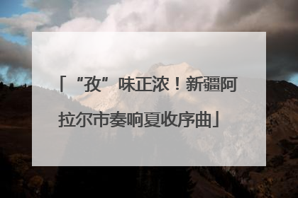 “孜”味正浓！新疆阿拉尔市奏响夏收序曲