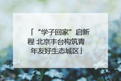 “学子回家”启新程 北京丰台构筑青年友好生态城区