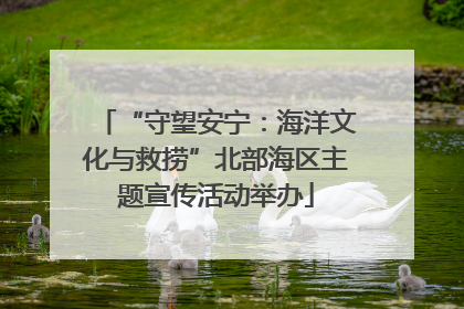 “守望安宁：海洋文化与救捞”北部海区主题宣传活动举办