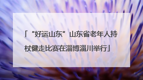 “好运山东”山东省老年人持杖健走比赛在淄博淄川举行