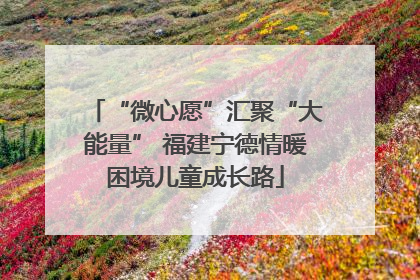 “微心愿”汇聚“大能量” 福建宁德情暖困境儿童成长路