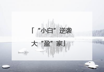 “小白”逆袭大“盈”家