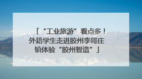 “工业旅游”看点多！外籍学生走进胶州李哥庄镇体验“胶州智造”