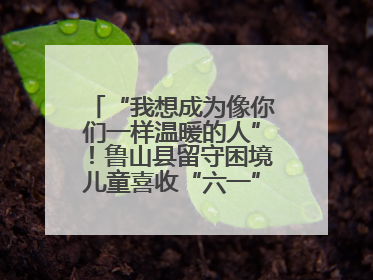 “我想成为像你们一样温暖的人”！鲁山县留守困境儿童喜收“六一”暖心礼