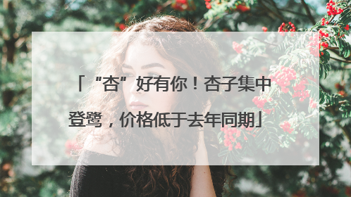 “杏”好有你！杏子集中登鹭，价格低于去年同期
