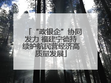“政银企”协同发力 福建宁德持续护航民营经济高质量发展
