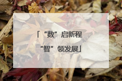“数”启新程 “智”领发展