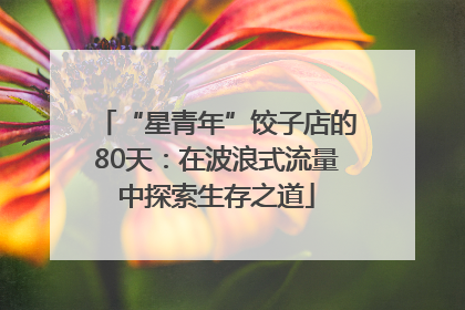 “星青年”饺子店的80天：在波浪式流量中探索生存之道
